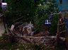 rando 2009 004.jpg - 